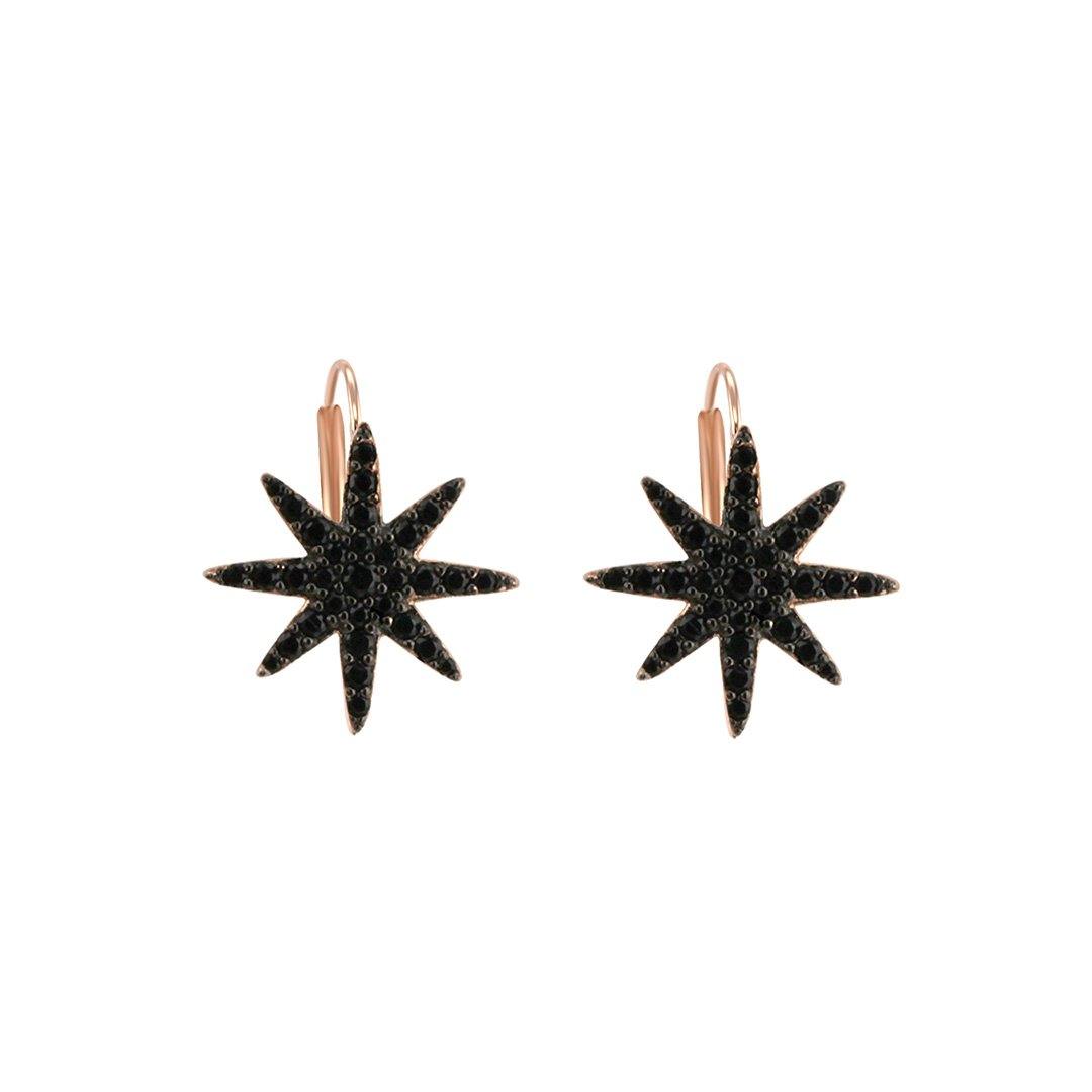 Les Divines earrings